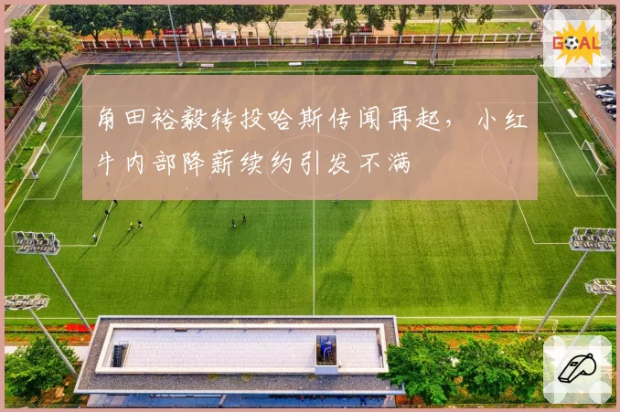 角田裕毅转投哈斯传闻再起，小红牛内部降薪续约引发不满