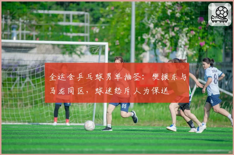 全运会乒乓球男单抽签:樊振东与马龙同区,球迷怒斥人为保送