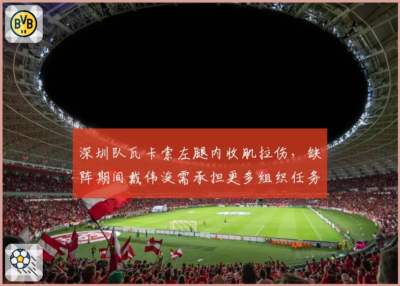 深圳队瓦卡索左腿内收肌拉伤,缺阵期间戴伟浚需承担更多组织任务