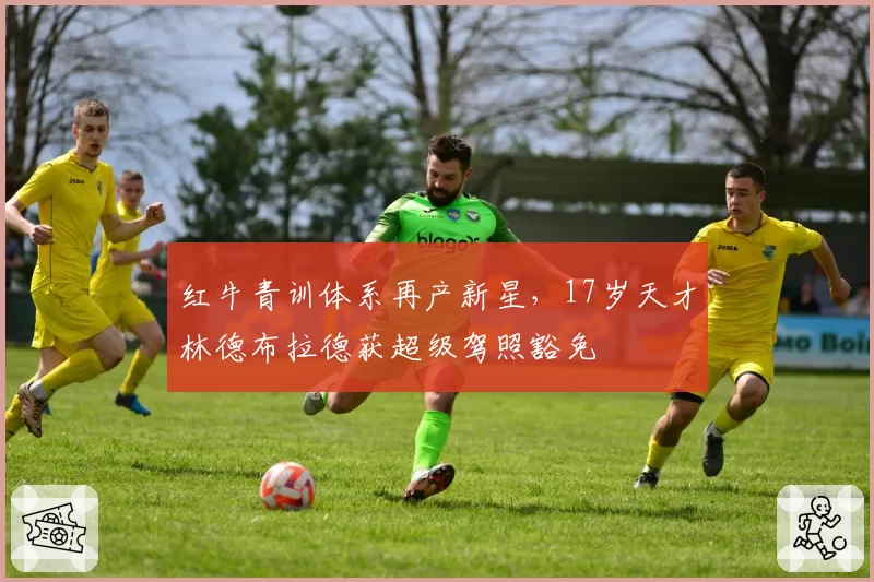 红牛青训体系再产新星,17岁天才林德布拉德获超级驾照豁免