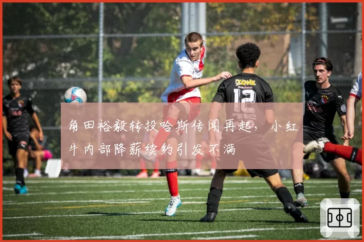 角田裕毅转投哈斯传闻再起，小红牛内部降薪续约引发不满